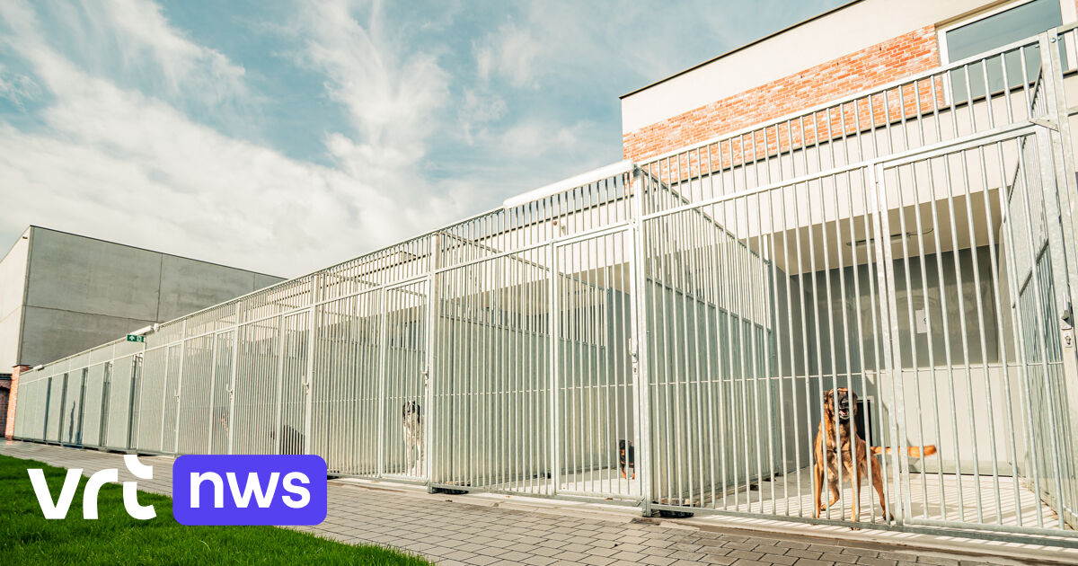 Knokke-Heist opent nieuw dierenasiel: meer ruimte, meer comfort en meer dierenwelzijn