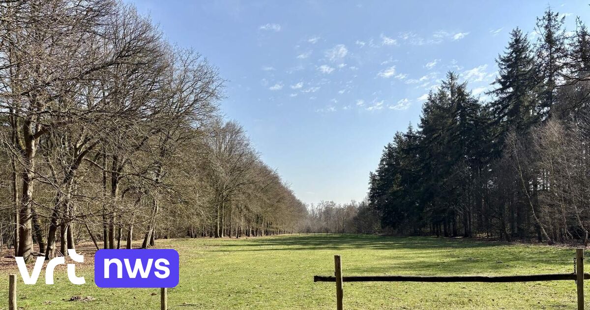 Defensie sluit deel van Ryckeveldebos in Brugge af voor wandelaars: 