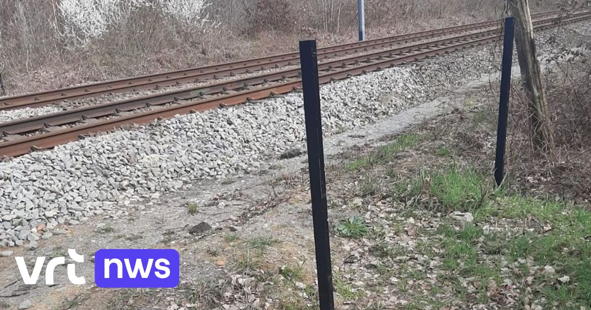 Hekken langs spoorlijn in Heusden-Zolder opnieuw vernield: 
