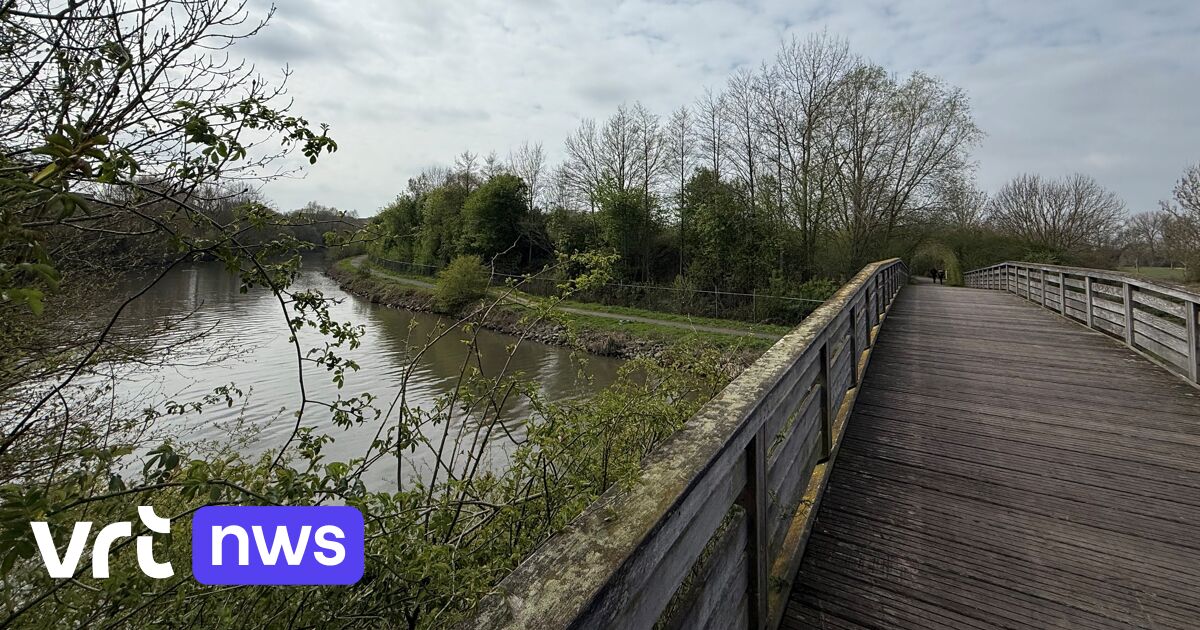 Quel futur pour les îlots sur la Lys, un projet transfrontalier veut leur offrir une nouvelle affectation avec l’avis des citoyens