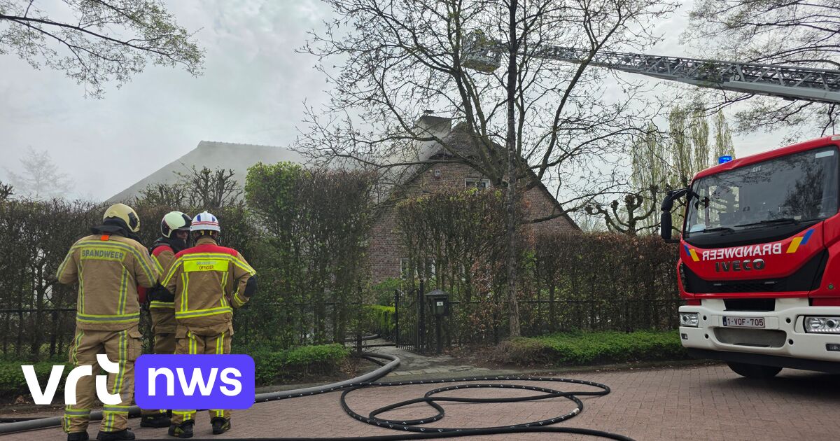 Huis met rieten dak in Baarle-Hertog beschadigd door brand na werkzaamheden in tuin