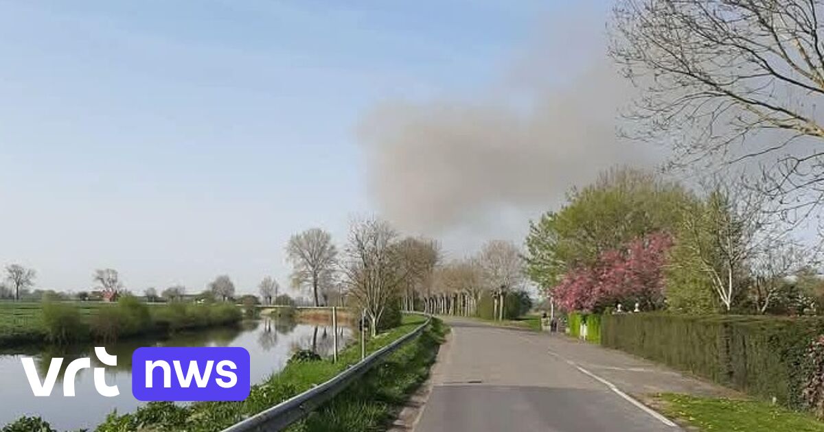 Brand in varkensstal Sint-Jacobs-Kapelle snel geblust, asbestteam ter plaatse