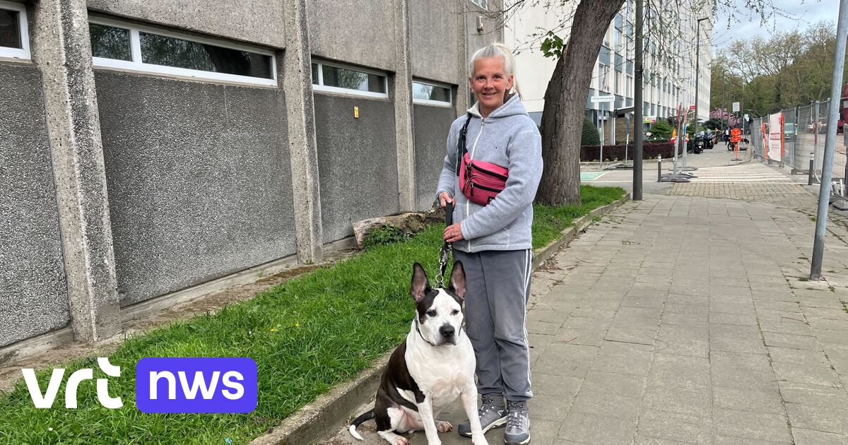 Buurtbewoners in Deurne tellen af naar einde van werken aan snelwegbruggen E313: 