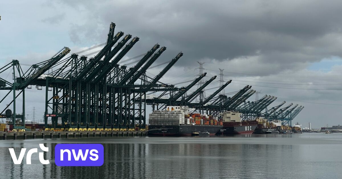Oil spill at Antwerp port brings shipping traffic to a halt
