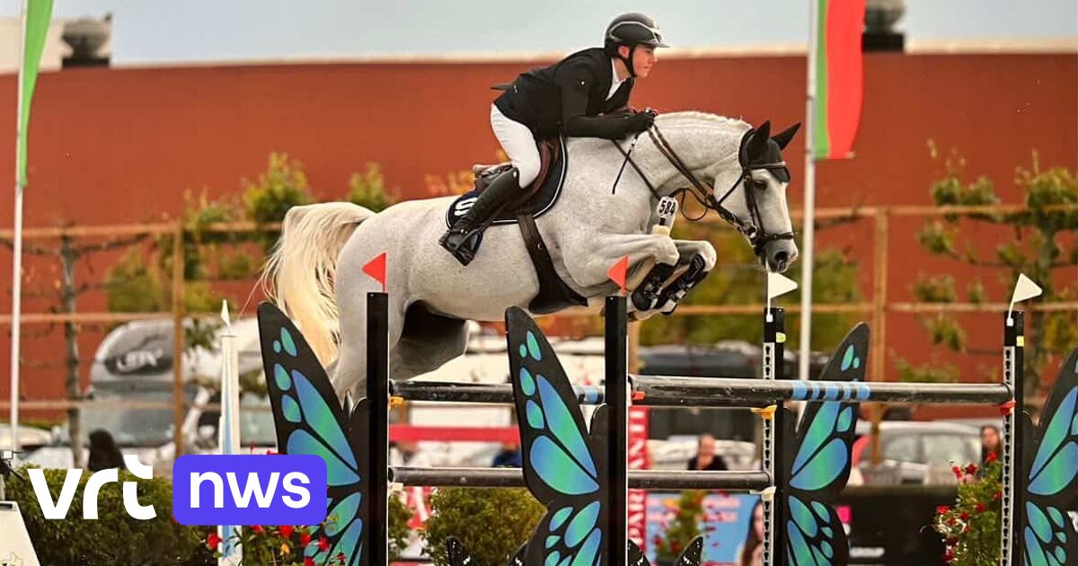 Financial boost of 500 euros: Meise municipality supports its top athletes