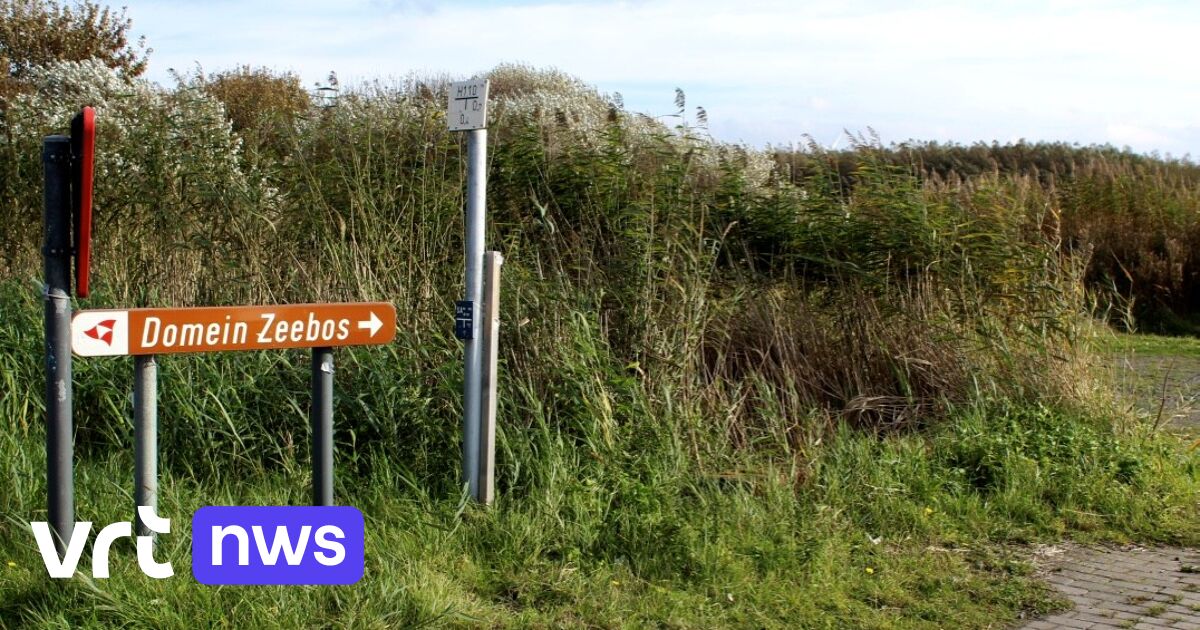 6 transmigrants apprehended in Blankenberge