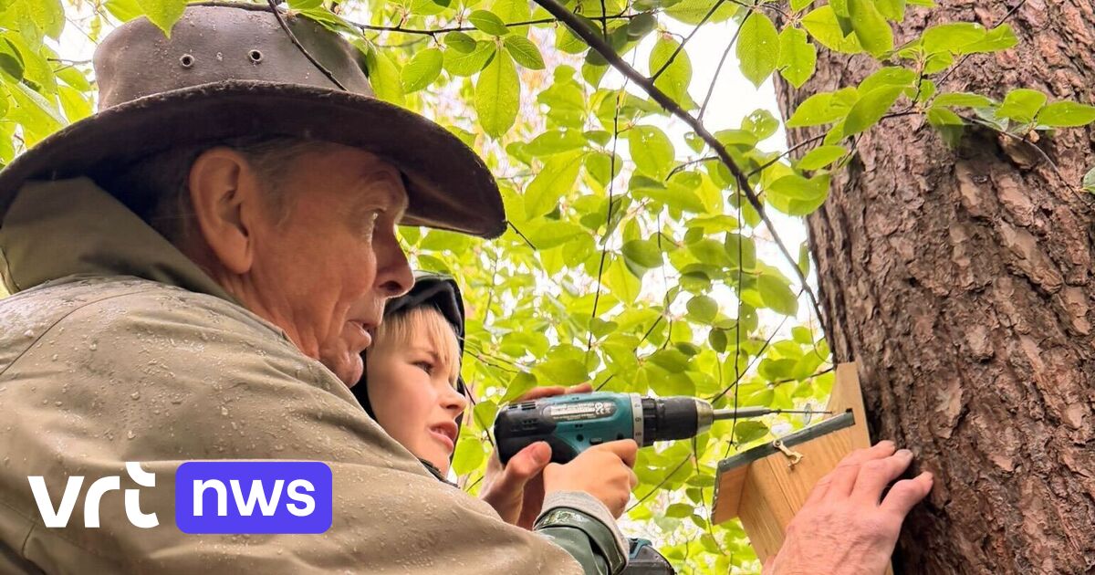 Neighbors raise money for 50 birdhouses in forest in Schilde: "It's a way to connect the community"