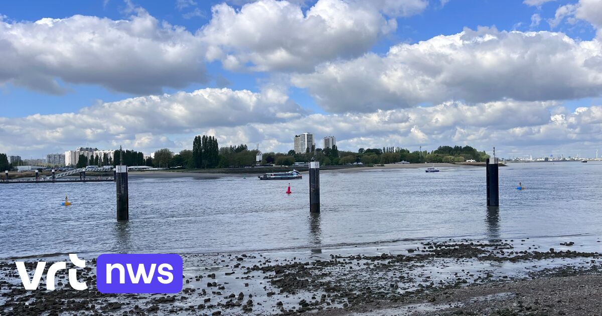 Eigenaar en verzekeraar willen gezonken schip in Antwerpen binnen de 2 weken bergen