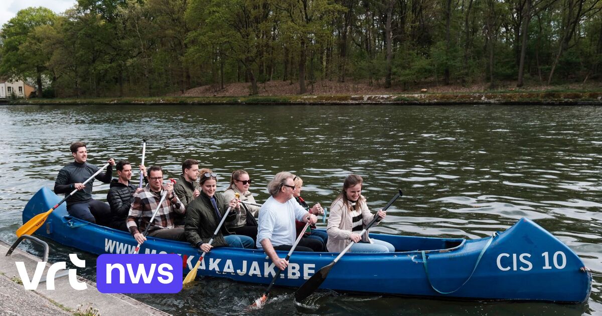 Two new paddle routes on Kempen canals: 'You can also paddle here during dry periods'