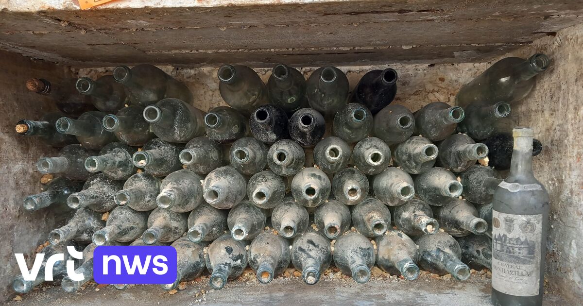 Over 100 'highly sought after' wine bottles found during work at Wapper in Antwerp