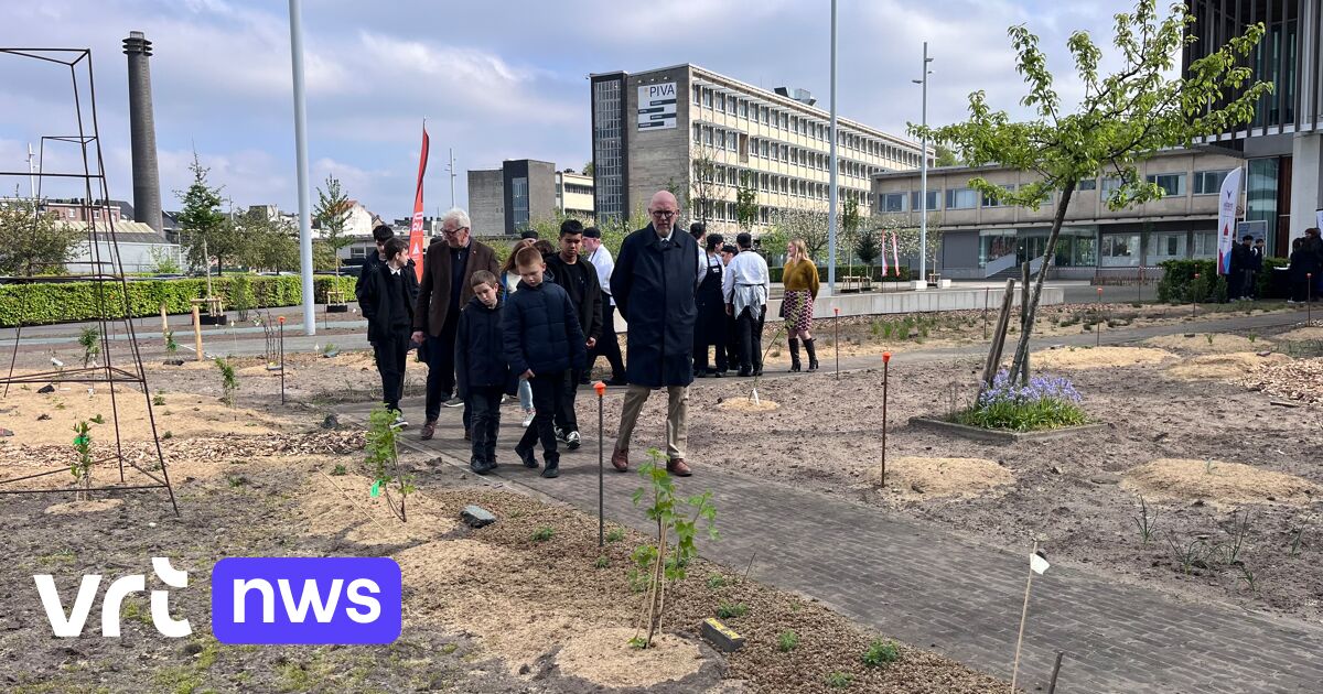 Hotelschool PIVA in Antwerp replaces 1,500 m² of concrete with edible green playground