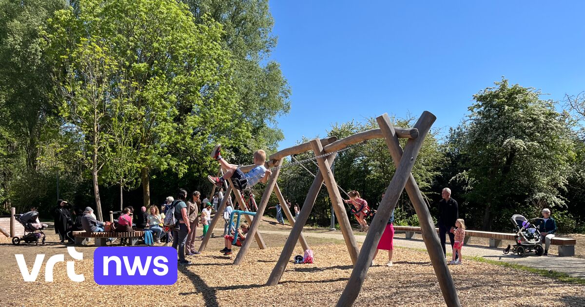 Nieuw Park Binnenplein Zwijndrecht: PFAS in Grond, Geen Gezondheidsrisico - gezondheid news from VRT