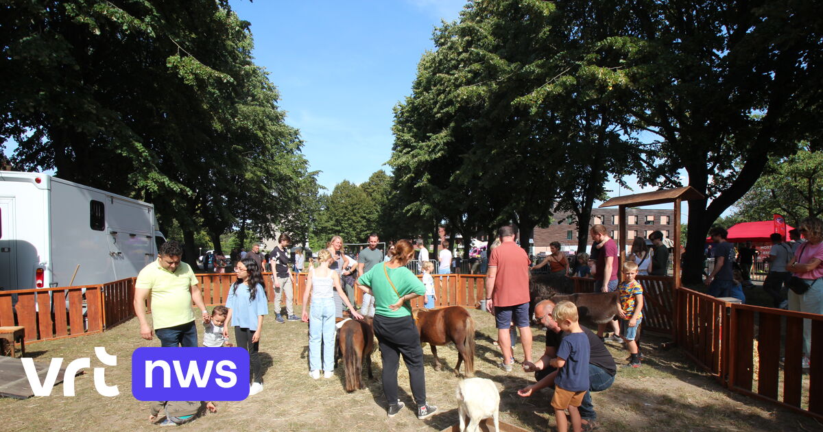 Geen dieren meer op Jaarmarkt Mortsel: 
