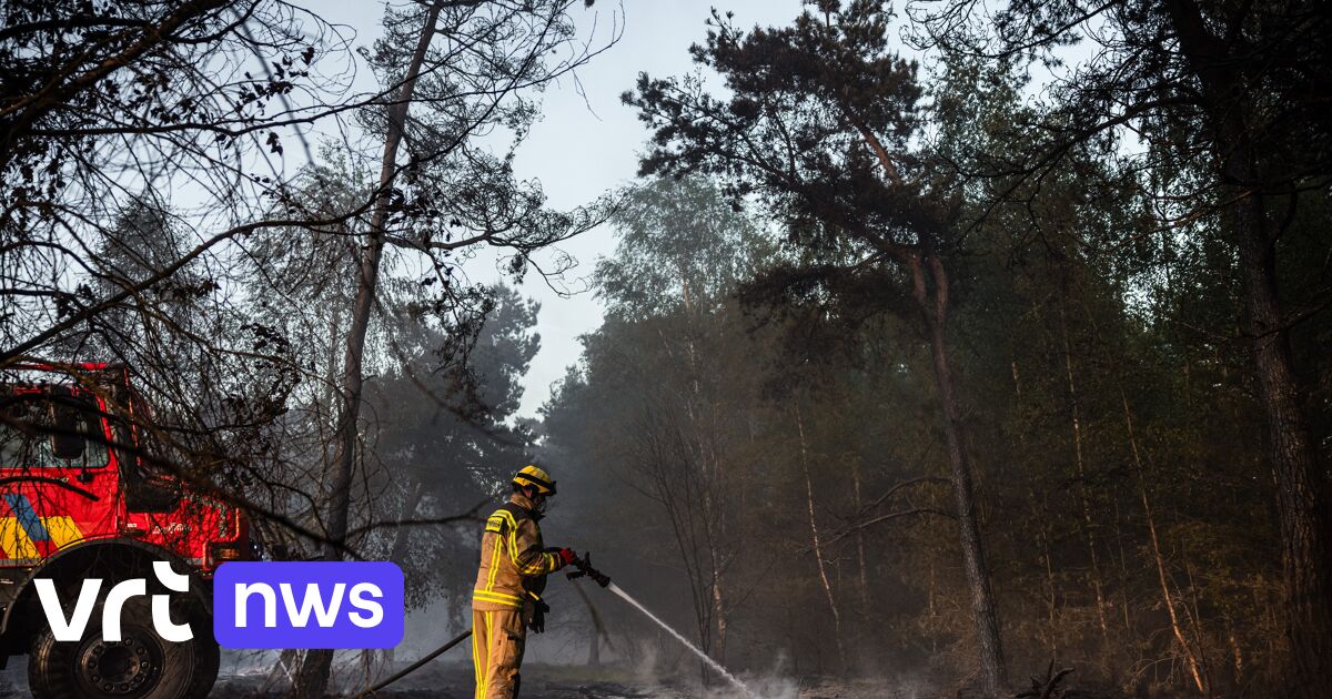 Incendie de Weert maîtrisé, les Pays-Bas sollicitent l'aide européenne pour la première fois