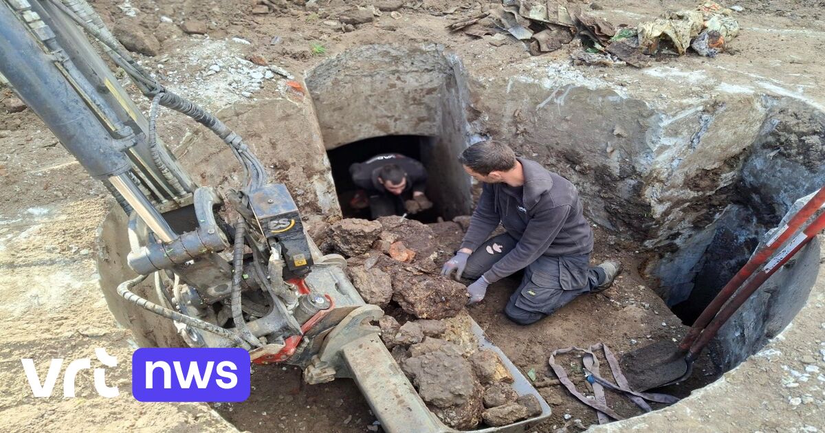 Fort van Bornem moet opnieuw vleermuizen aantrekken nu geschutkoepel hersteld is