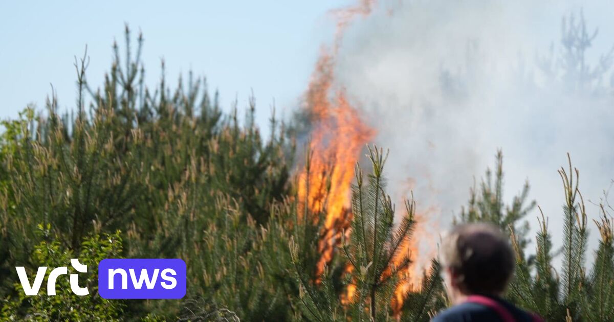 Incendie sur le camp militaire de Beverlo : 20 hectares de bruyère et de forêt partis en fumée
