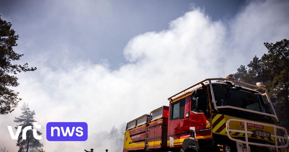 Nieuwe natuurbrand in Nederland onder controle: bosrijk gebied van 10.000 vierkante meter getroffen