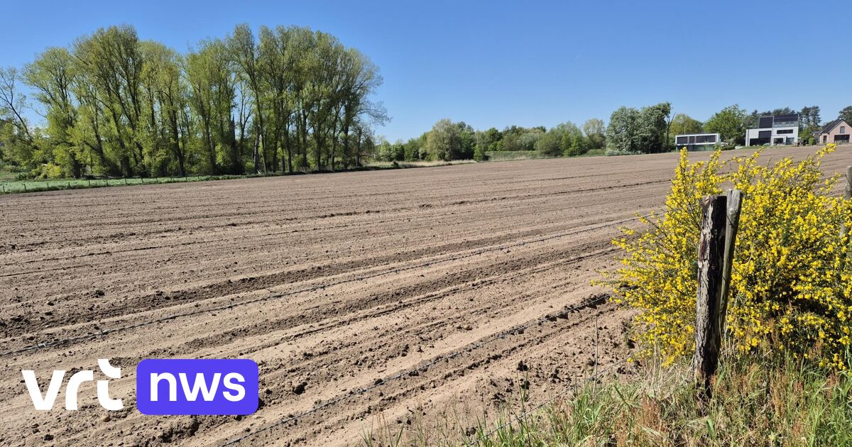 “Effective water scarcity”: Code orange for drought in Flanders