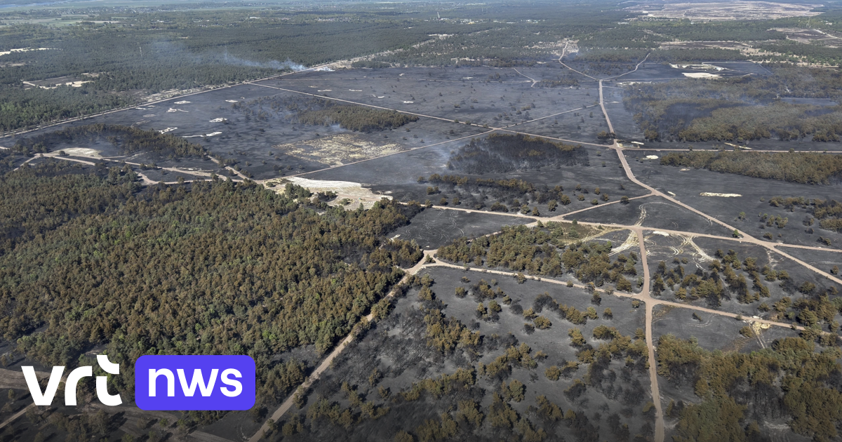 Meeste natuurbranden onder controle in Nederland, Frankrijk en Duitsland sturen hulp