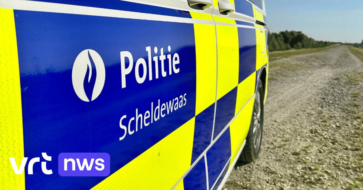 Politiezone ontdekt illegale e-sigaretten, cannabis en zwartwerk bij controle handelszaken in Beveren-Kruibeke-Zwijndrecht