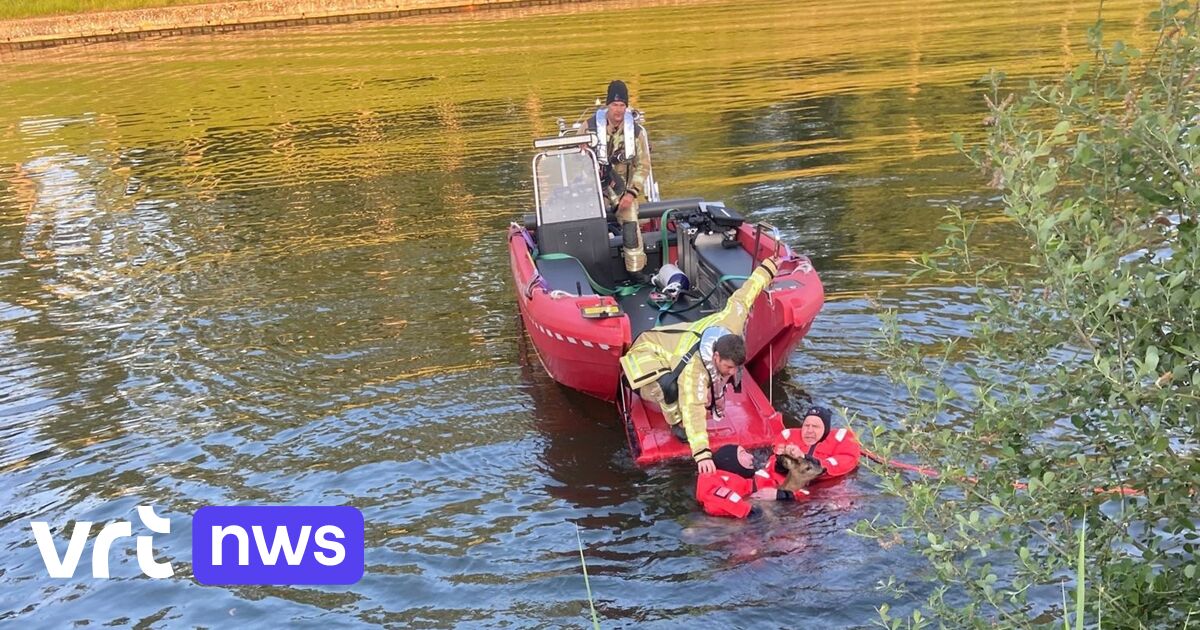 Brandweer redt reetje uit kanaal in Kapelle-op-den-Bos