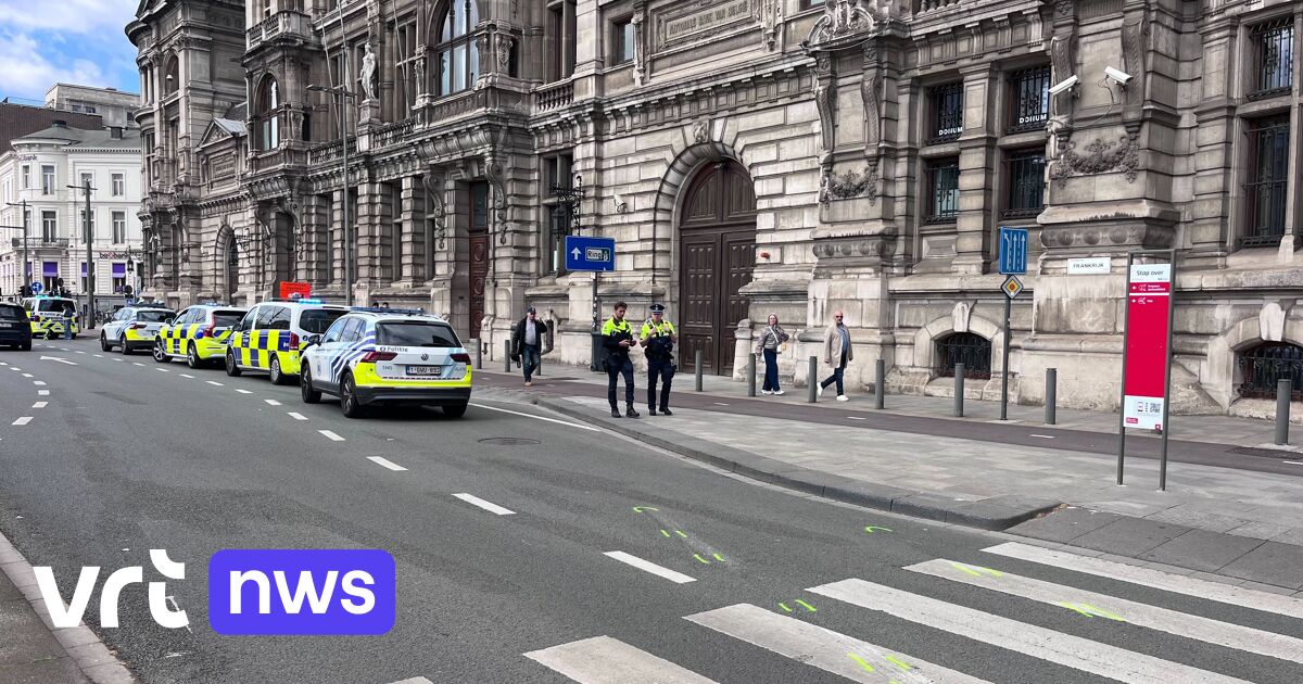 Boy, 6, hit by police car on zebra crossing