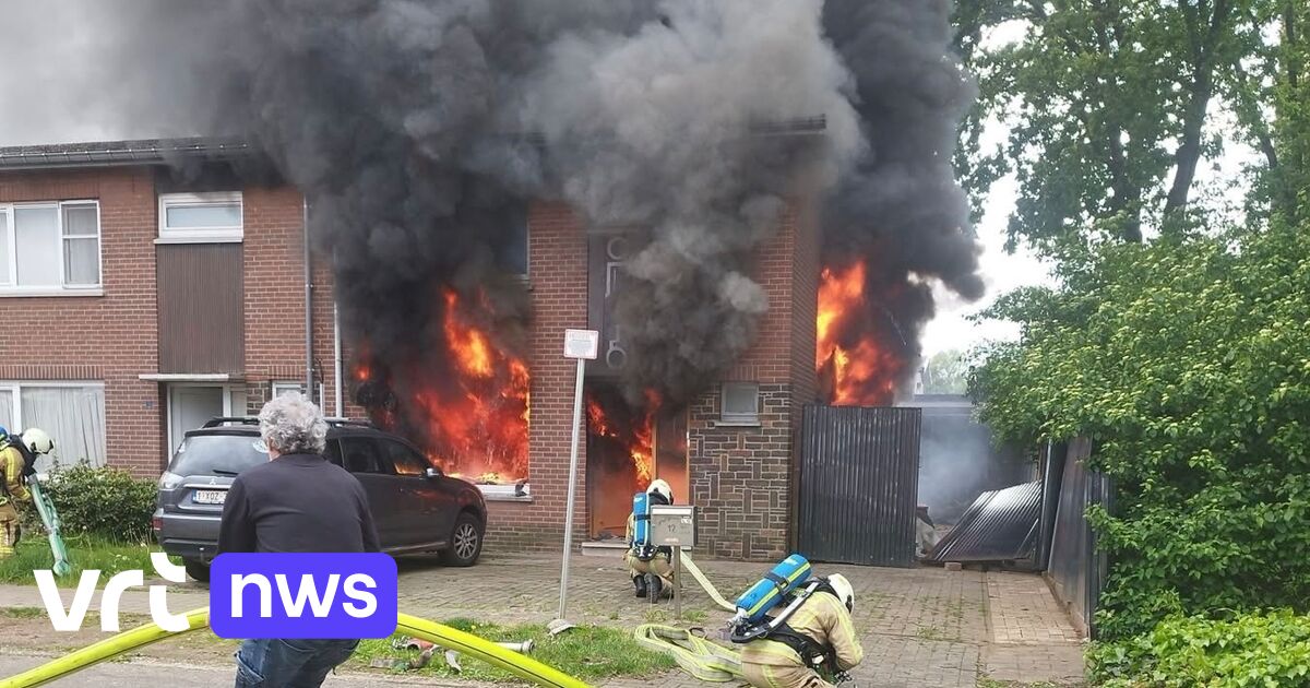 Uitslaande brand verwoest rijwoning in Beringen, bewoners ongedeerd