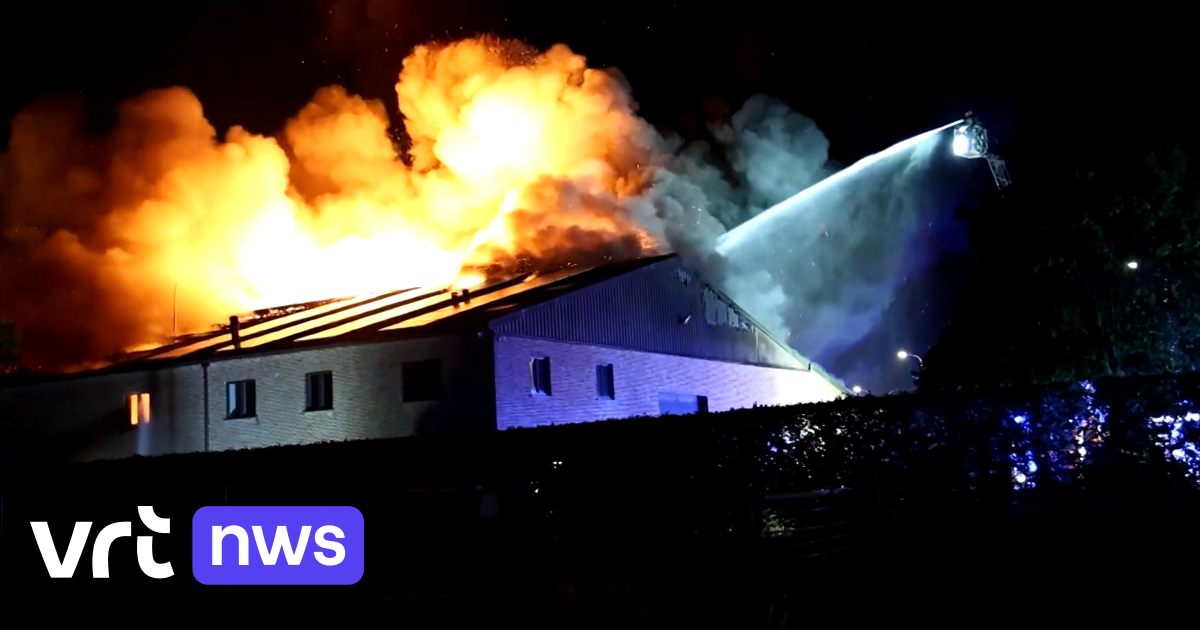 Enorme schade na zware boerderijbrand in Appels: geen gewonden, dieren op tijd geëvacueerd