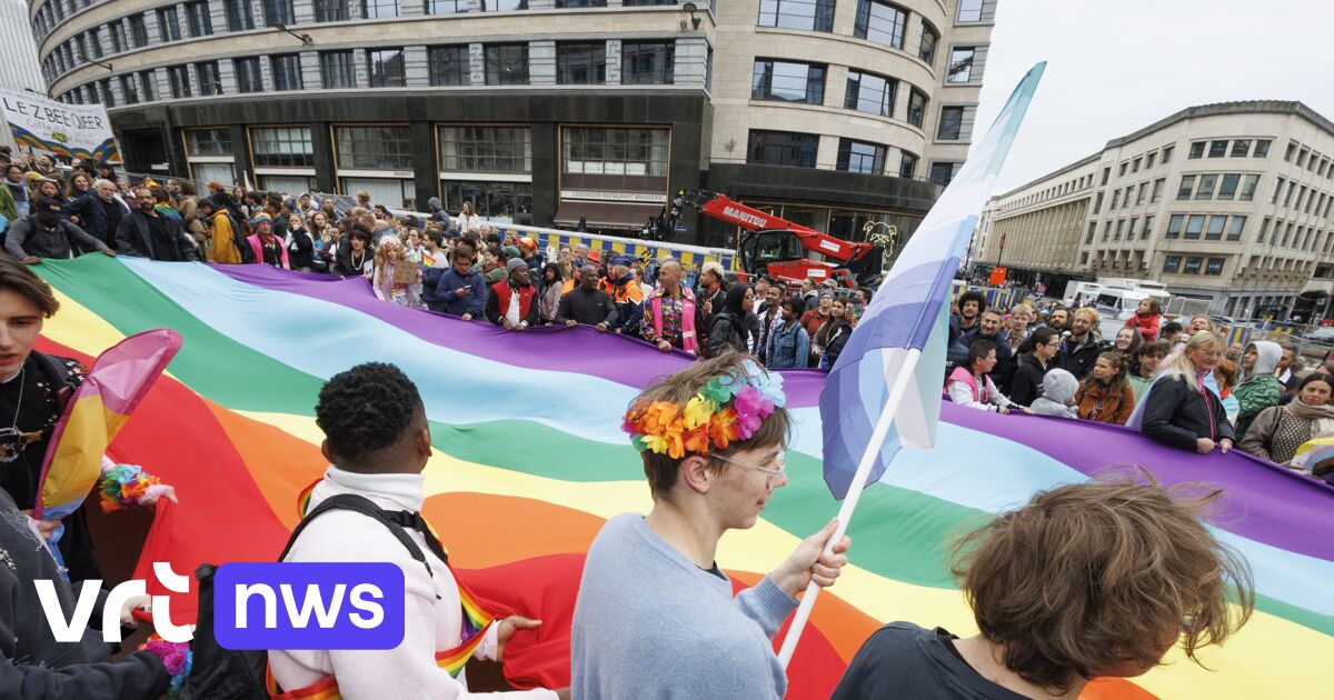 Rainbow flags brighten Brussels during gray Pride, organization expects 200,000 participants