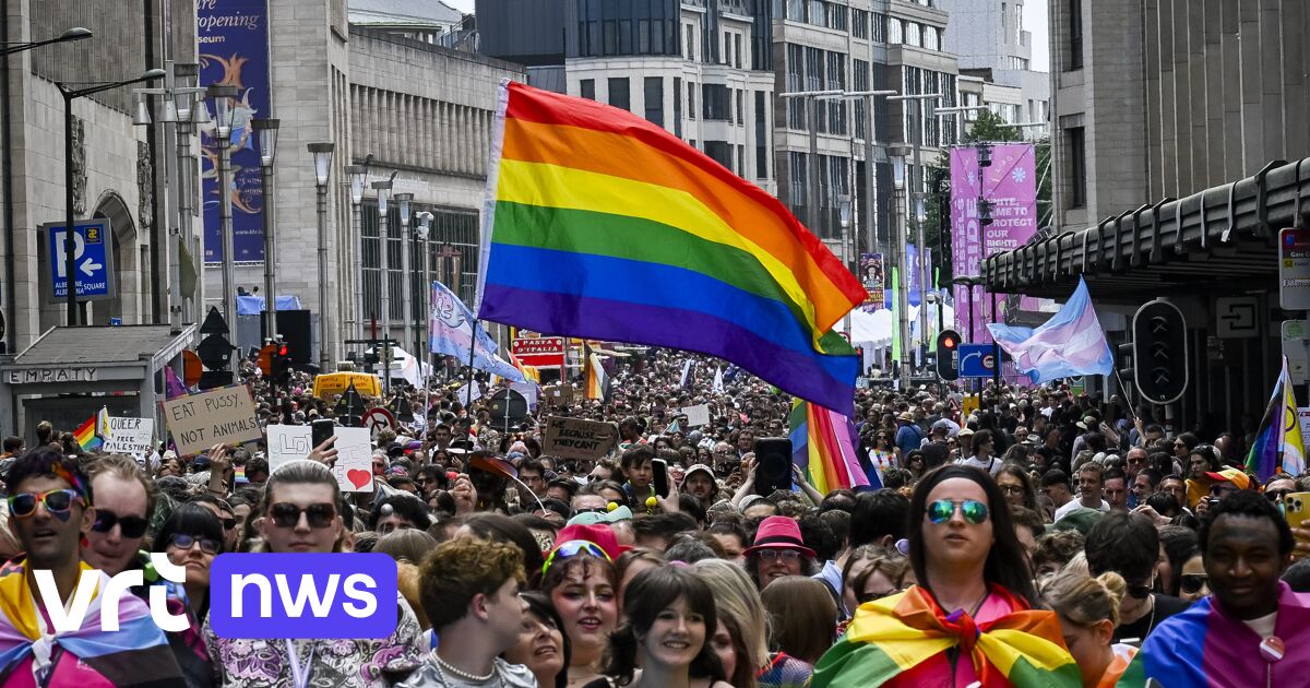 Zehntausende Teilnehmer bei der Brussels Pride