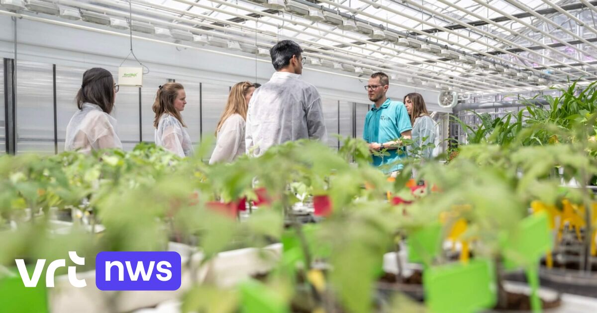 Ghent spin-off raises 1 million for research into 'plant vaccine' against diseases and pests in agriculture
