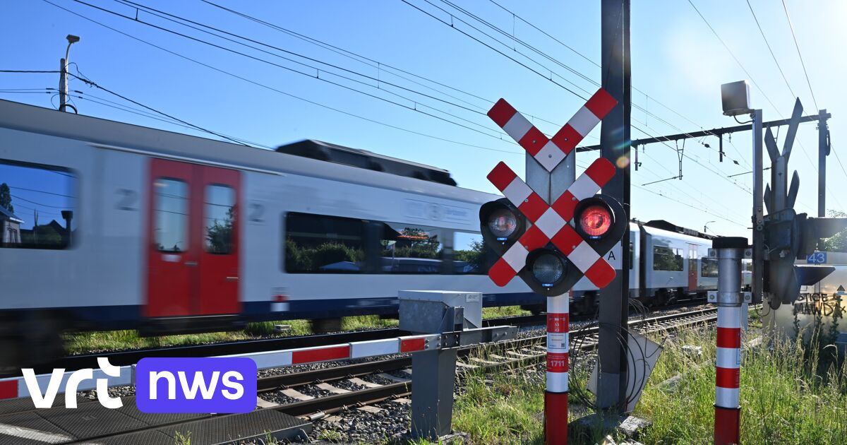 Schulbusunfall in Buggenhout: Anonyme Zeugen führen frühere Beschwerden über den Fahrer an