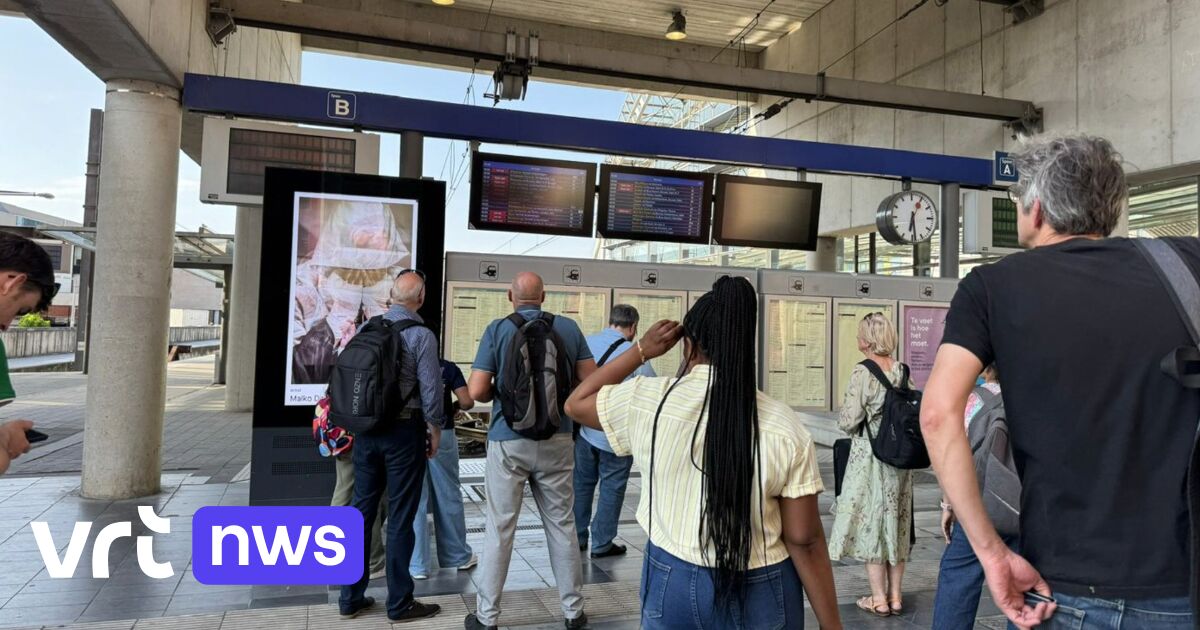 Vague report, huge cost: the consequences of the bomb hoax in Leuven