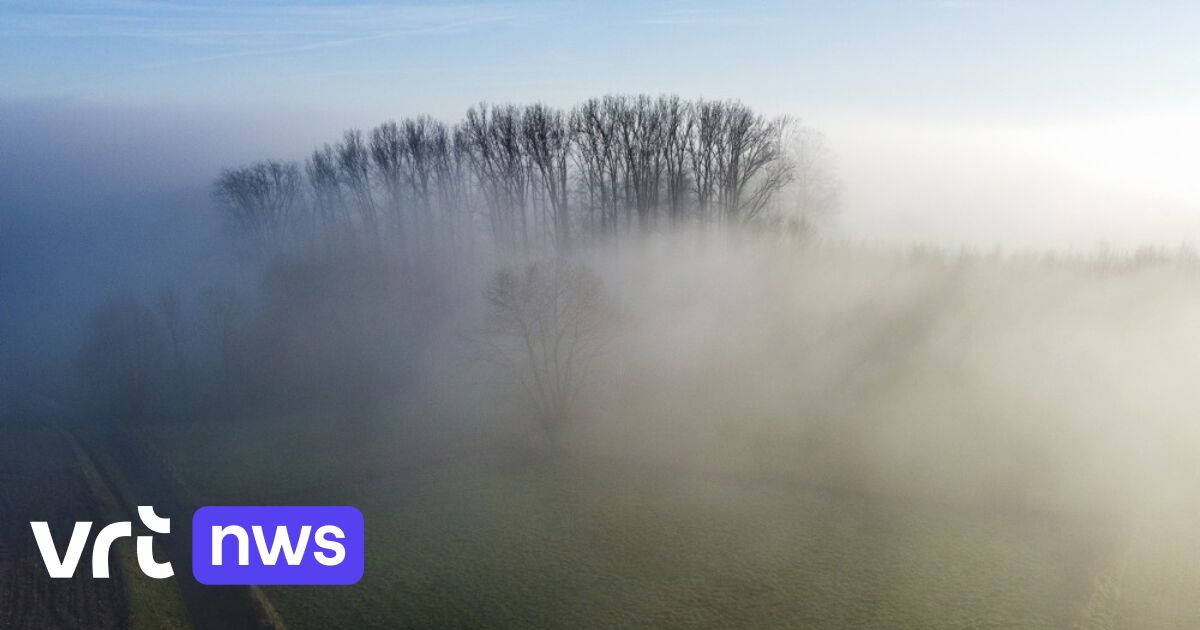 Bacteria in mist break down toxic substances, American research shows