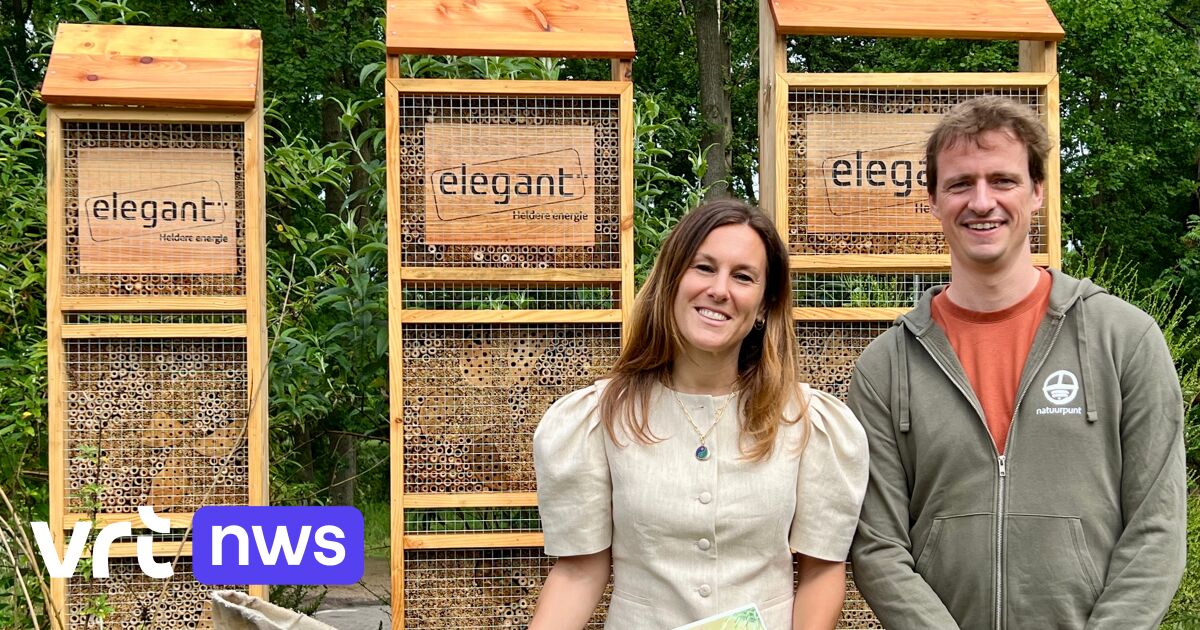 Nature organization and Elegant join forces to protect wild bees in Flanders: 10 percent extinct