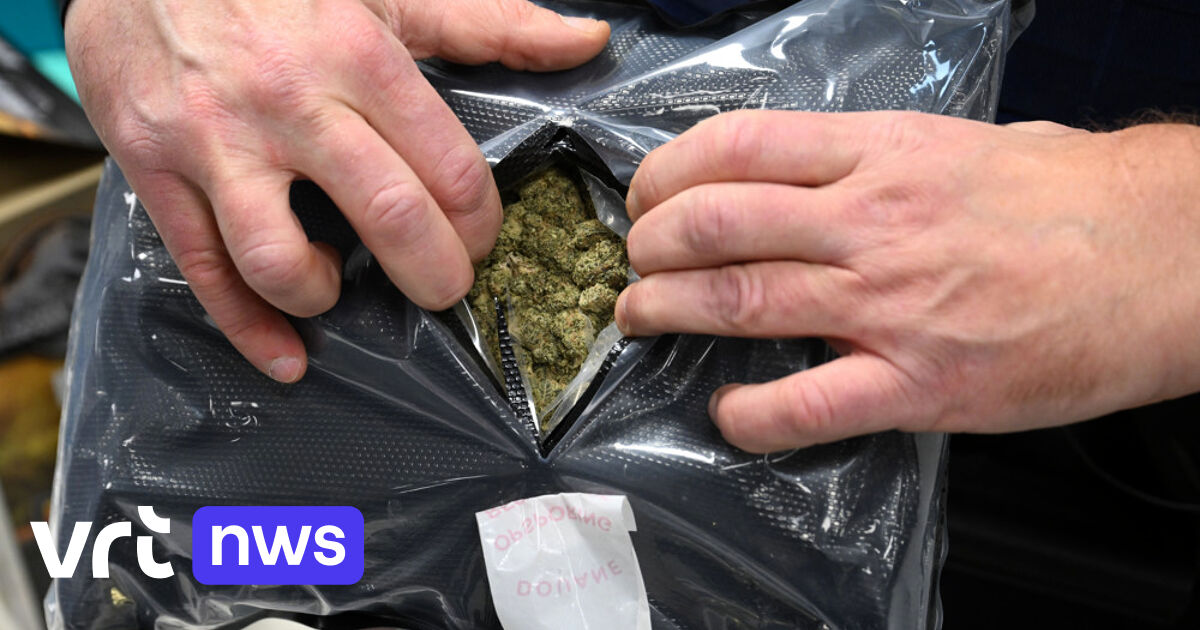 3 verdachten opgepakt tijdens drugsdeal in Molenbeek: politie neemt 770 gram cannabis in beslag