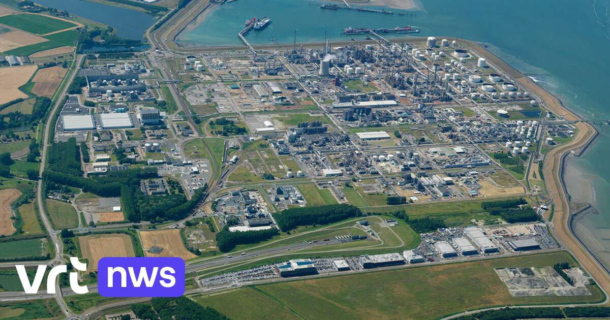 Chemiereus Dow schrapt honderden banen in Terneuzen en andere Nederlandse vestigingen