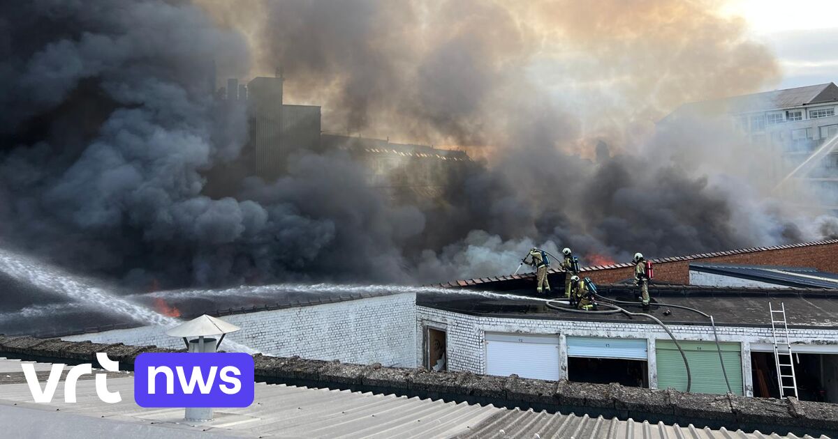 Who are the victims of the Anderlecht warehouse bl