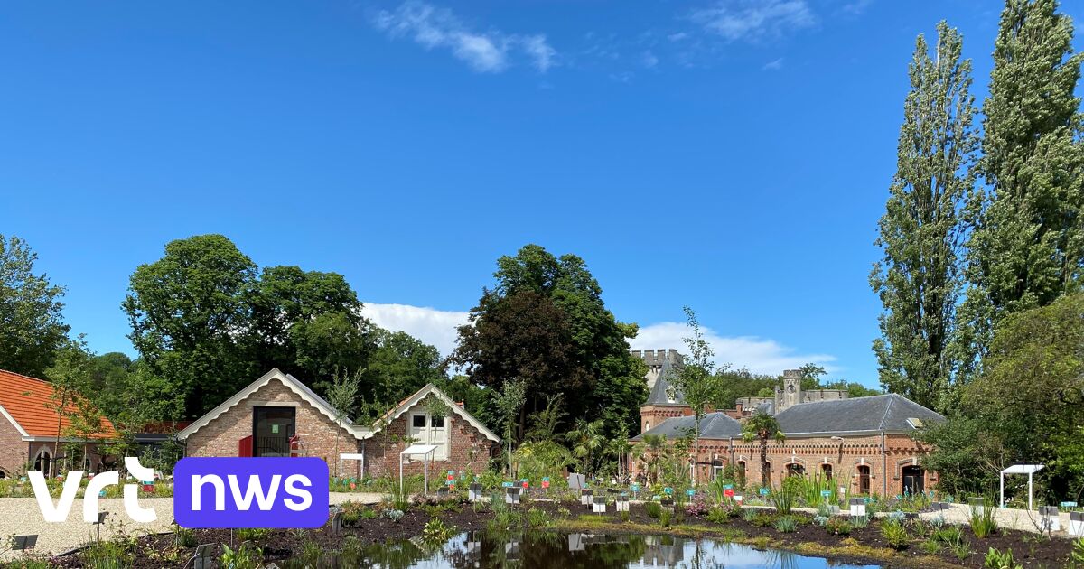 From carnivorous plant to zinc violet: Plantentuin Meise brings together Belgian flora in new garden