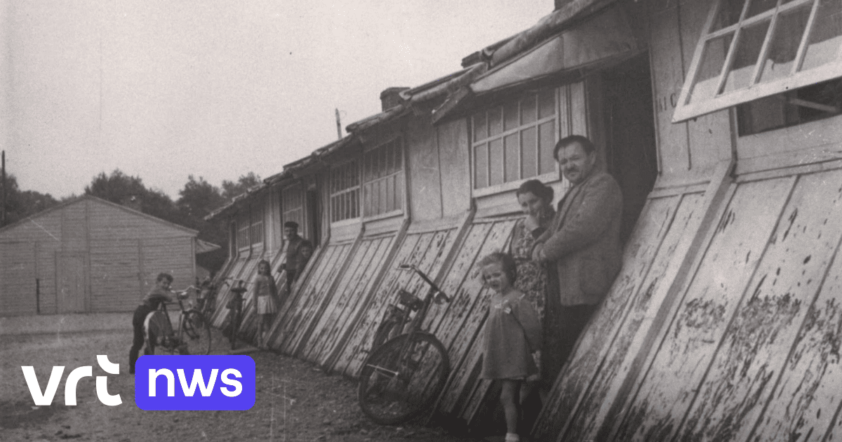 'Een mijnwerker voor een zak steenkool': 80 jaar geleden tekenden België en Italië een arbeidsdeal die Limburg voorgoed hertekende