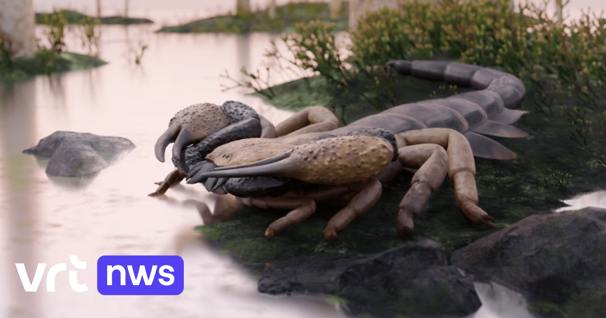 Gigantische schorpioen van 1 meter lang zwierf ooit rond in wat nu Engeland en Wales is