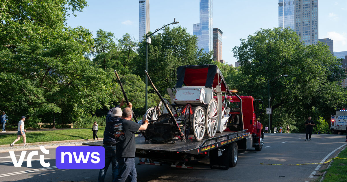 18-jarige toerist komt om na val uit paardenkoets in Central Park