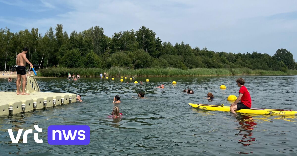 Zwem in de Plas in Rotselaar