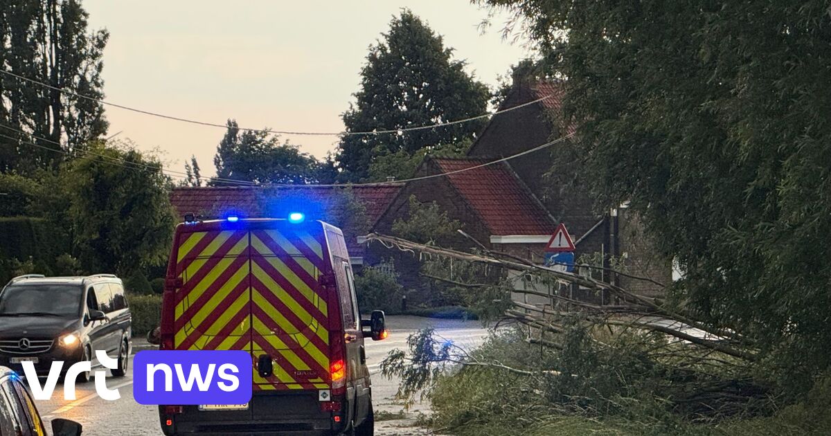 Zwaar onweer treft Zuid-West-Vlaanderen: huis onbewoonbaar in Ledegem, man gewond door dakpan in Moen