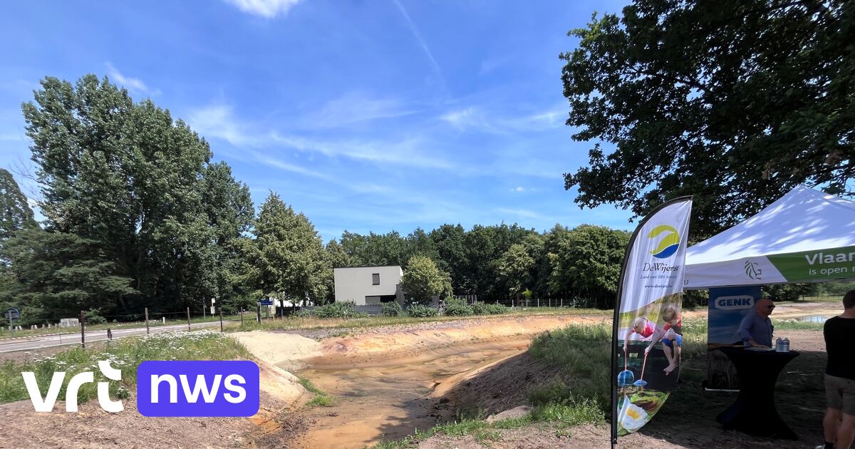 Nieuwe waterbuffer moet kwetsbare natuur in Bokrijk beschermen tegen vervuiling en droogte