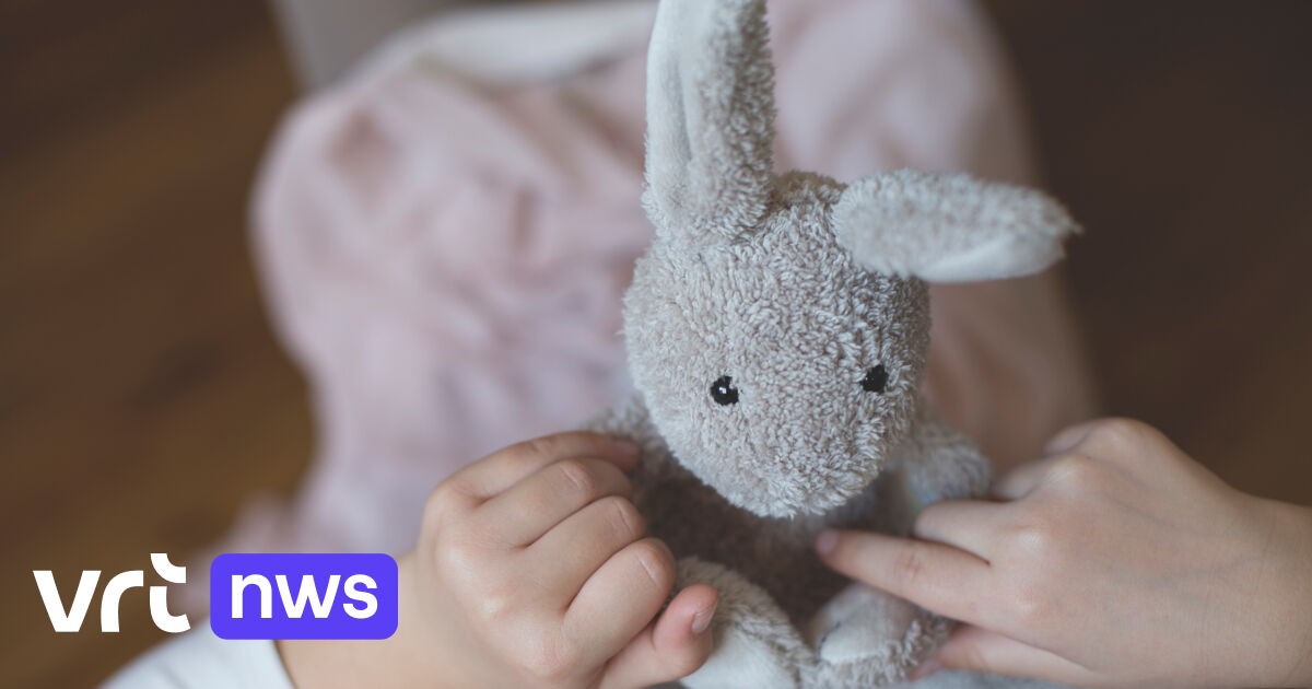 "Meer dan 1.000 kinderen schreeuwen om hulp": Kempense CLB's trekken aan alarmbel