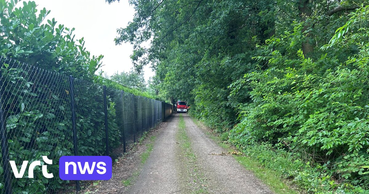 Nederlandse vrouw (52) sterft bij zware chaletbrand in Maaseik