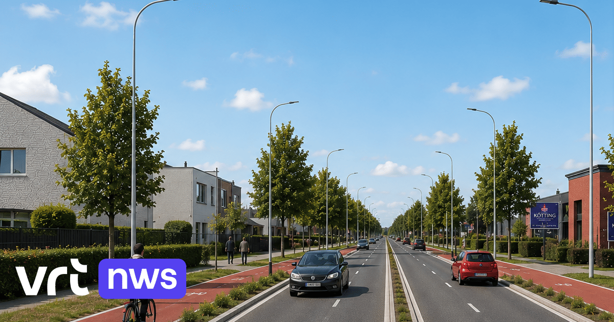 Vlaanderen investeert 2 miljoen euro in gescheiden fietspaden langs Rijksweg in Maasmechelen