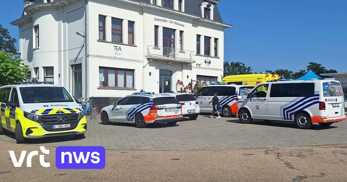 Extra veiligheidsmaatregelen in openluchtzwembad De Warande in Wetteren na vechtpartij: 
