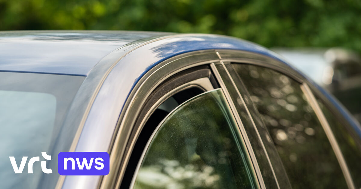 Drie kinderen dood in hete auto in Frankrijk